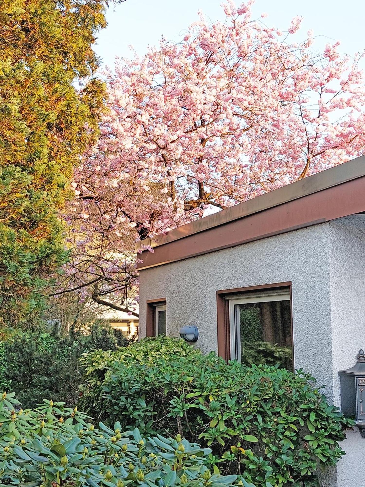 ראטינגן Apartment Close To Nature,Airport, Fair מראה חיצוני תמונה